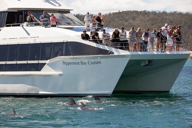 Peppermint Bay Cruise & Lunch - An Overview of the Experience