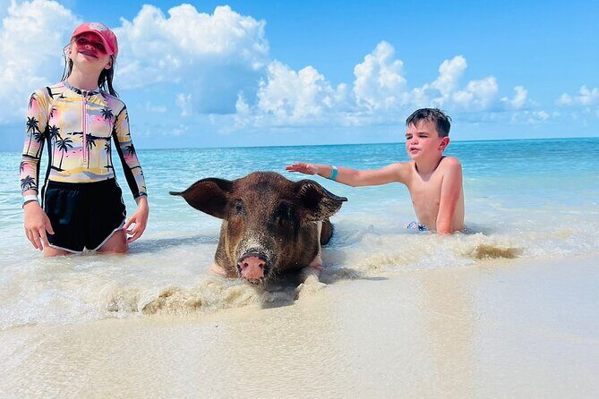 Perfect Day Swimming Pigs, Turtles, Reef Snorkel & Lunch - First Stop: Atholl Island for Reef Snorkeling