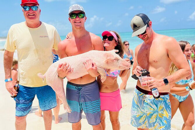 Perfect Day Swimming Pigs, Turtles, Reef Snorkel & Lunch - Value for Money