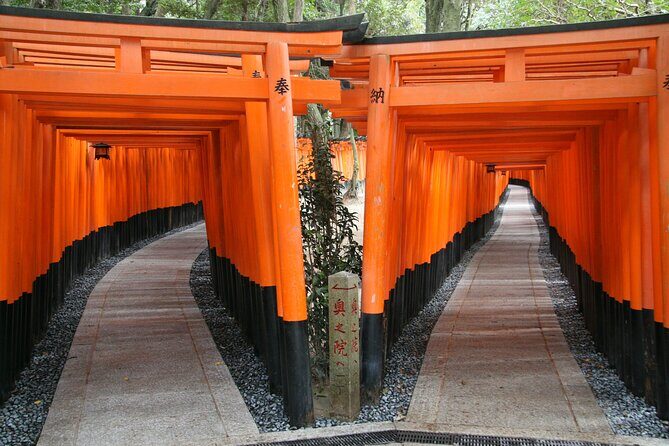 PERFECT KYOTO 1-Day Bus Tour - The Itinerary: A Deep Dive