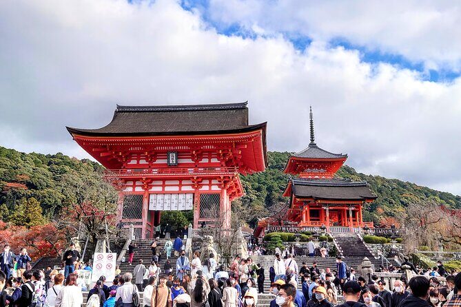 PERFECT KYOTO 1-Day Bus Tour - Who Will Love This Tour?