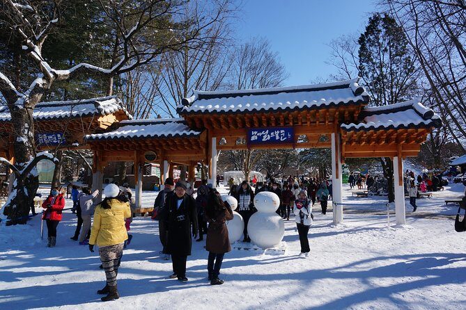 [Perfect Private Tour] Nami island, Petite France and Organic Strawberry Farm - Who Will Love This Tour?