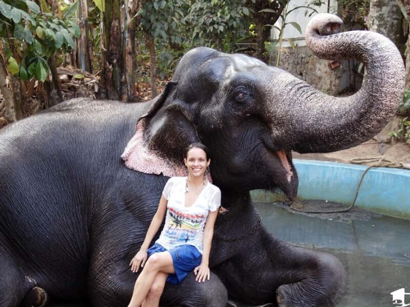 Periyar 02- Days Tour with Nature Walk and Elephant Bath - Who Is This Tour For?