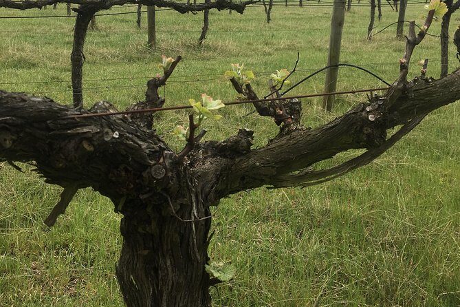 Personalised wine tour experience in the beautiful NSW Southern Highlands - Cultural Stops and Scenic Spots
