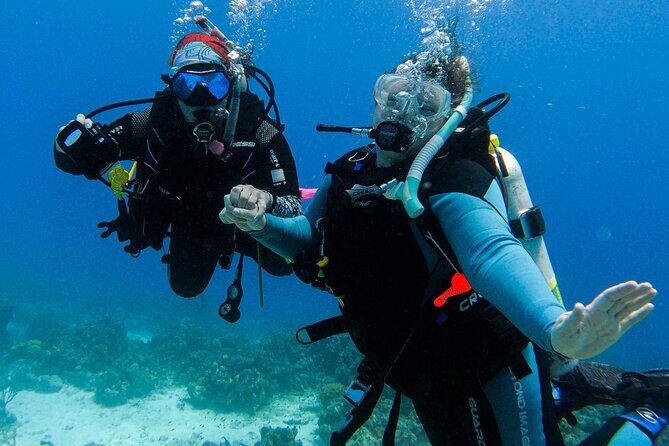 Personalized 2 Tank Guided Experience in Curaçao - Key Points