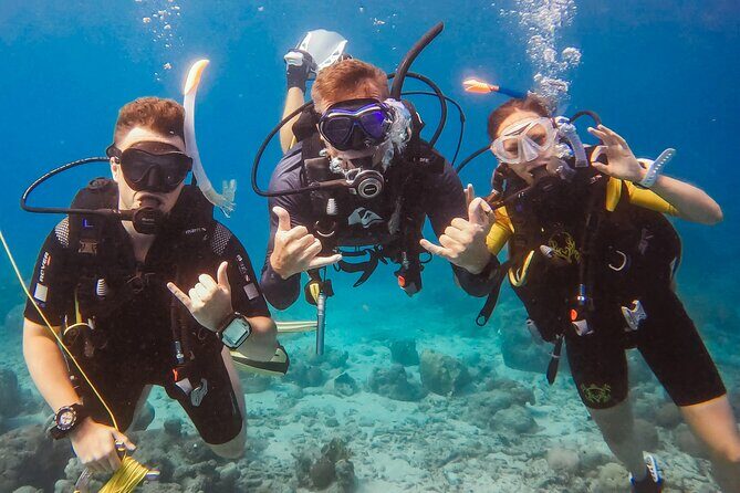 Personalized Discover Scuba Dive Experience in Curaçao - Key Points