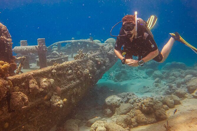 Personalized Discover Scuba Dive Experience in Curaçao - The Budget and What You Get for $125