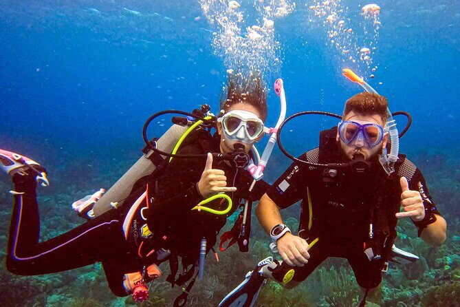 Personalized Discover Scuba Dive Experience in Curaçao - Why This Tour Works Well