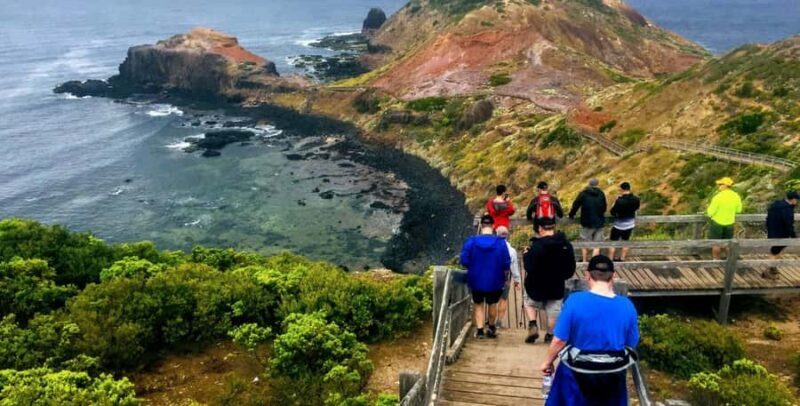 Personalized Luxury Private Tours Melbourne (up to 24 pax) - Key Points