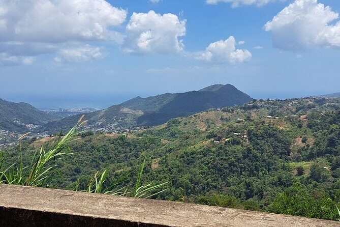 Personalized Private Tour The Paramin Hills - What Makes the Paramin Hills Tour Special?