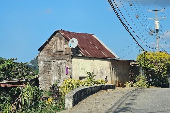 Personalized Private Tour The Paramin Hills - Is It Worth the Price?