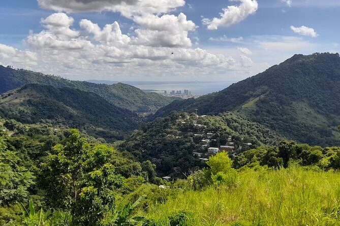 Personalized Private Tour The Paramin Hills - The Sum Up