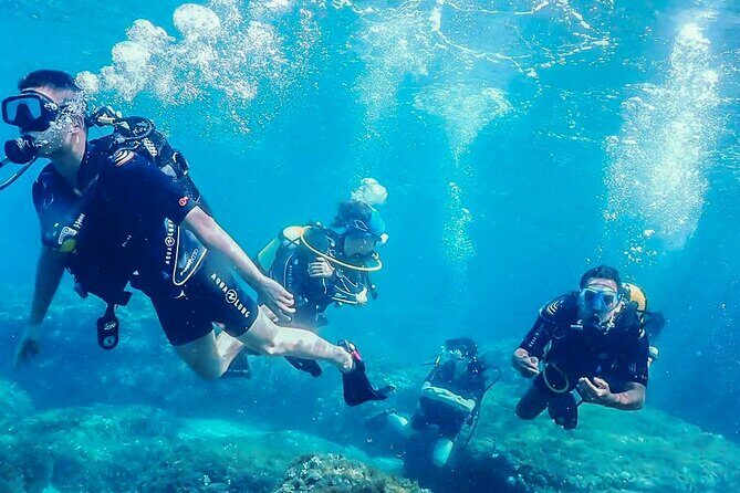 Personalized Snorkeling and Diving Experience in Riviera Maya - Exploring the Personalized Snorkeling and Diving Experience in Riviera Maya