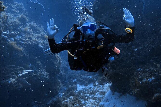 Personalized Snorkeling and Diving Experience in Riviera Maya - The Value of the Tour