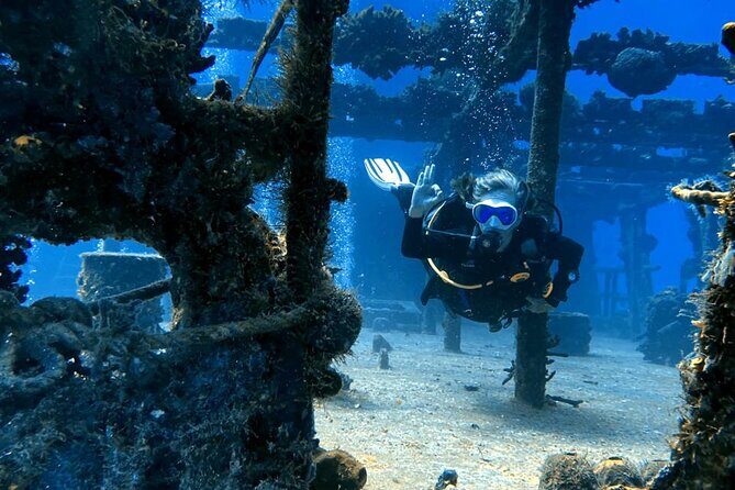 Personalized Snorkeling and Diving Experience in Riviera Maya - Final Thoughts: Is It Worth It?