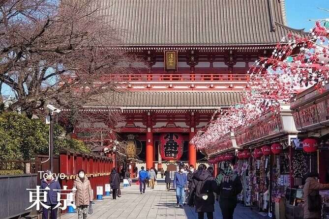 Personalized Travel Support for International Travelers in Japan - Why It’s Worth Considering