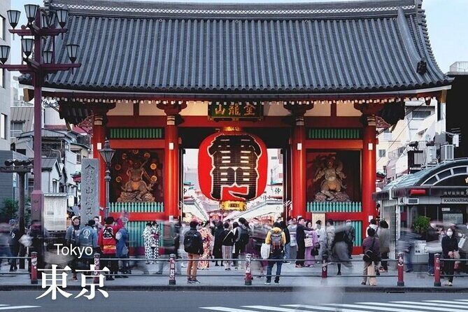 Personalized Travel Support for International Travelers in Japan - Who Should Choose This Tour?