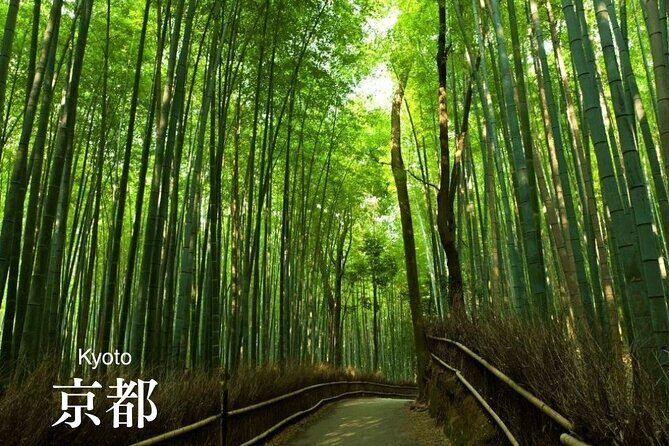 Personalized Travel Support for International Travelers in Japan - Final Thoughts: Is It Worth Your Money?