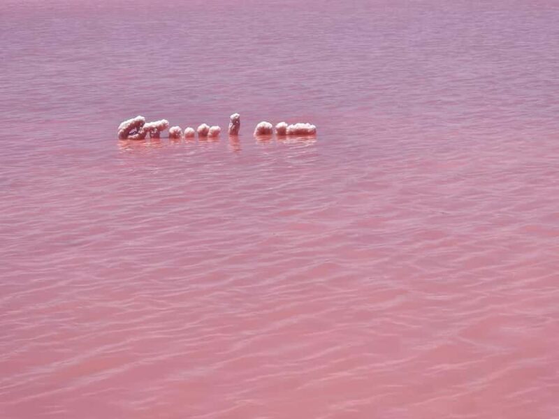 Perth: 2-Day Pink Lake, Kalbarri, and Pinnacles Tour - Key Points
