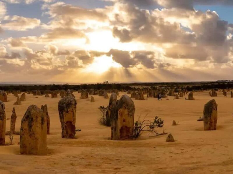 Perth: 7-Day Rottnest Island Tour Package with Accommodation - Key Points