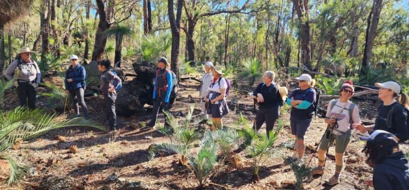 Perth: Abyssinia Rock Hiking Experience - Key Points