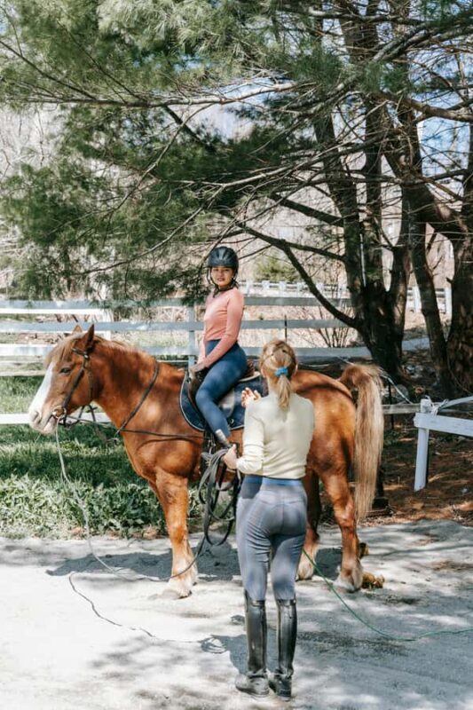 Perth, Australia: 1-Hour Scenic Horseback Trail Adventure - Group Size and Guides