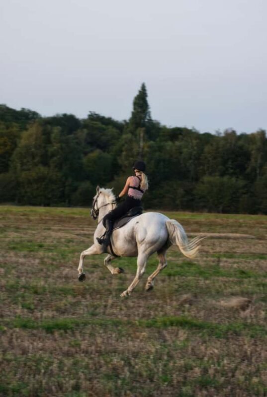 Perth, Australia: 1-Hour Scenic Horseback Trail Adventure - The Trail Itself