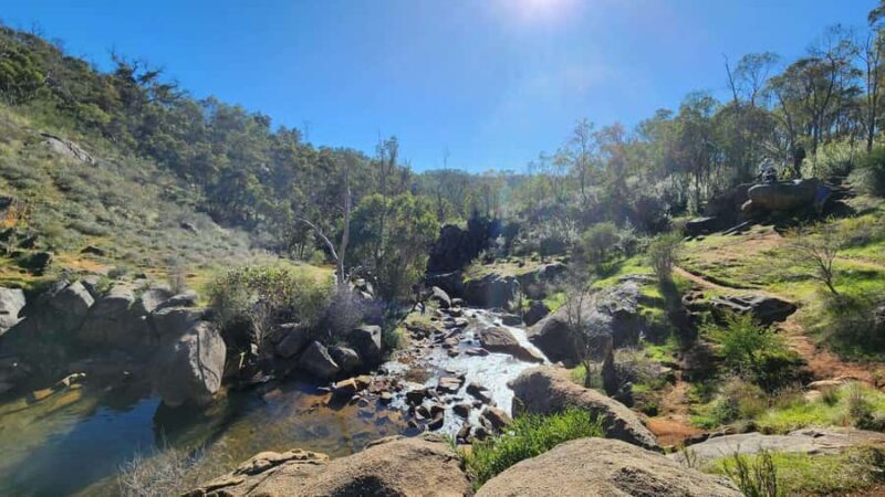 Perth: Bibbulmun Track Hiking Experience with Lunch - The Terrain and Level of Fitness