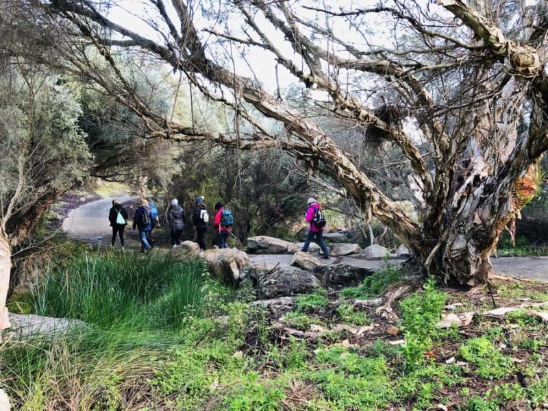 Perth: Bickley Valley Hiking Experience with Morning Tea - Key Points