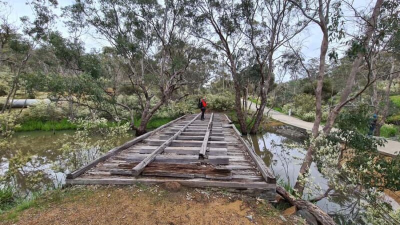 Perth: Bickley Valley Hiking Experience with Morning Tea - An In-Depth Look at the Experience