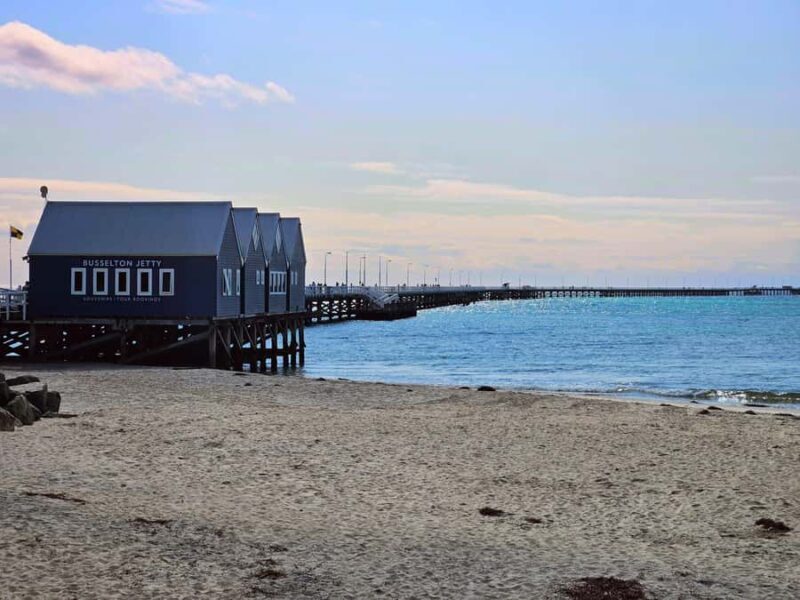 Perth: Busselton Jetty Full - Day Guided Tour - Local Tastings: Cheese, Wine, and Wildlife