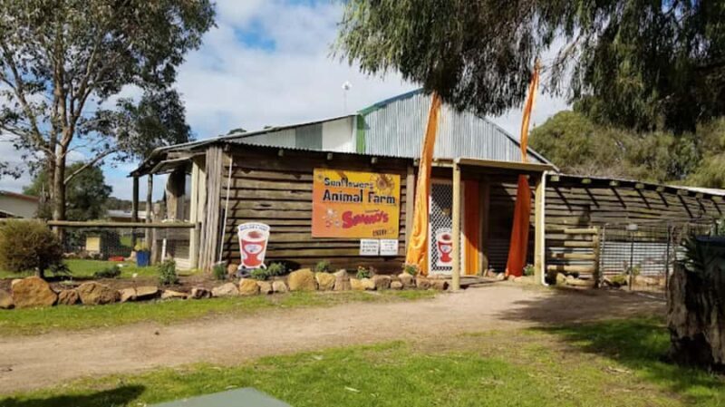 Perth: Busselton Jetty Full - Day Guided Tour - The Return Trip: Scenic and Comfortable