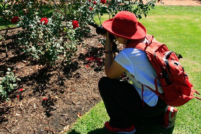 Perth City, Laneways and Hidden Gems Photographic Walk - Final Thoughts: Is This Tour for You?