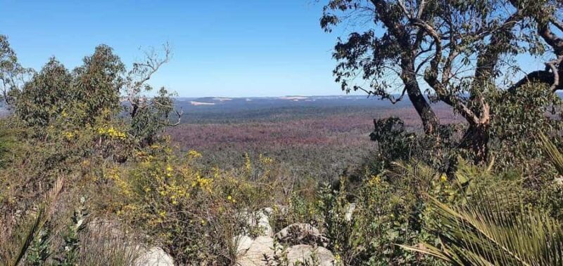 Perth: Darling Range Twin Peaks Hike with Morning Tea - What to Expect During Your Hike