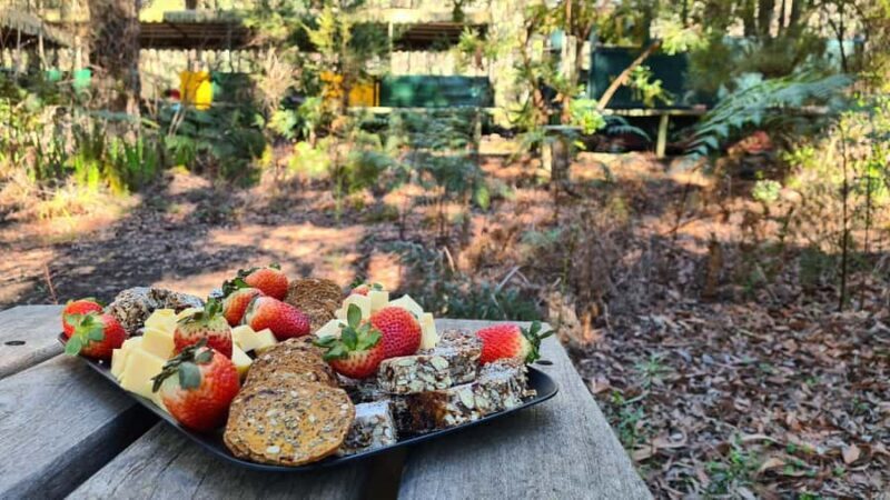Perth: Dwellingup Train, Trails, and Woodfired Delights Tour - A Natural Blend of Transport, Trails, and Tastes