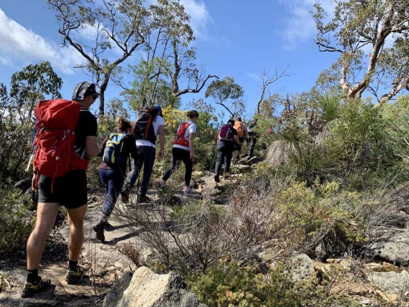 Perth: Four Peaks Endurance Hike - Comparing Similar Experiences