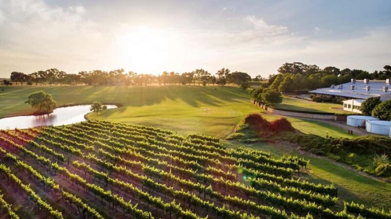 Perth: Full Day Swan Valley Cruise & Wine Tasting With Lunch - An Introduction to the Experience