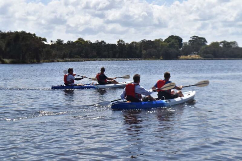 Perth: Guided Kayak Tour around Canning River Wetlands - Key Points