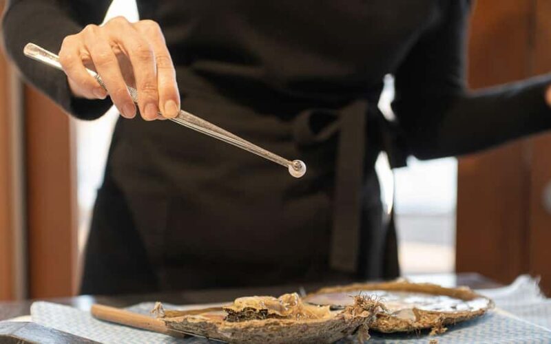 Perth: Harvest Your Own Pearl Experience - Key Points