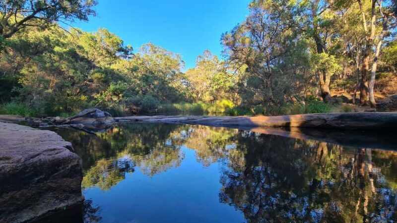 Perth: Hidden Gems of Perth Hiking Tour with Lunch - Why This Tour Is a Great Choice