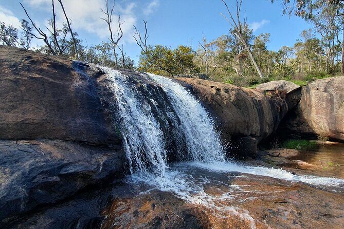 Perth Kayak Tour - Canning River Wetlands - What to Expect During the Paddle