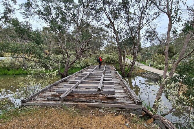 Perth Kayak Tour - Canning River Wetlands - The Value and Practical Details