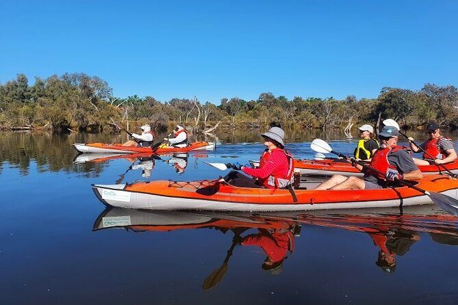 Perth Kayak Tour - Canning River Wetlands - Authenticity and Eco-Consciousness