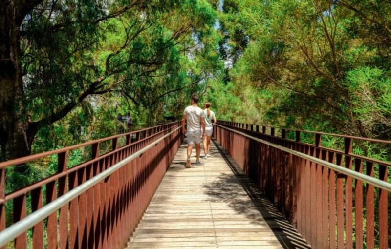 Perth: Kings Park Botanicals & Beyond Guided Hike - Discovering Perth’s Green Heart