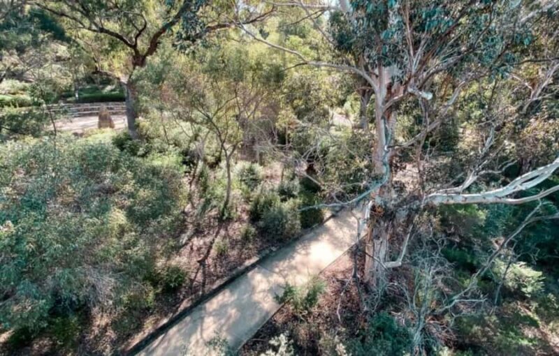 Perth: Kings Park Botanicals & Beyond Guided Hike - Nature’s Showcase in Spring
