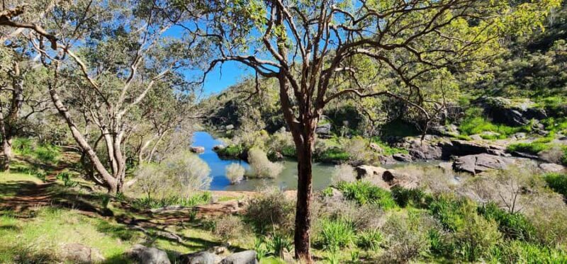 Perth: Kitty's Gorge Hike with Morning Tea - A Thorough Look at the Experience