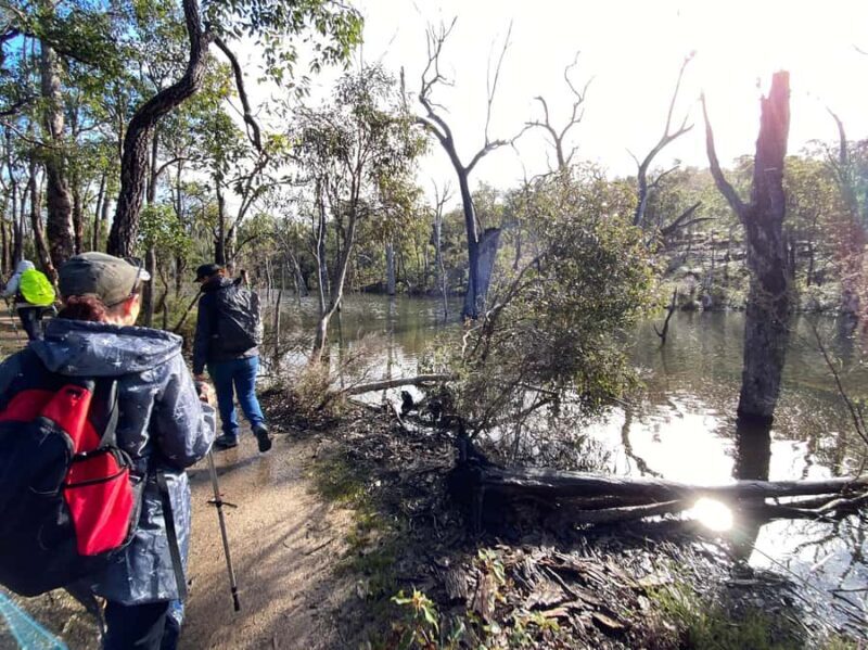 Perth: Numbat Trail Hike at Paruna Wildlife Sanctuary - The Sum Up