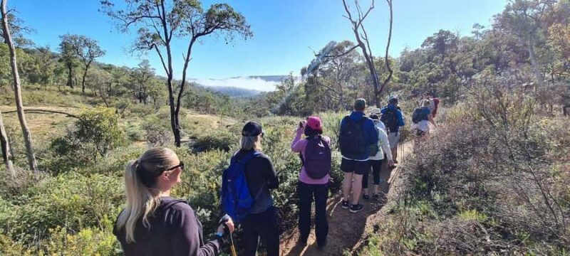 Perth: Perth Hills Hike, Wine & Dine - An Authentic Day in Perth Hills: What to Expect