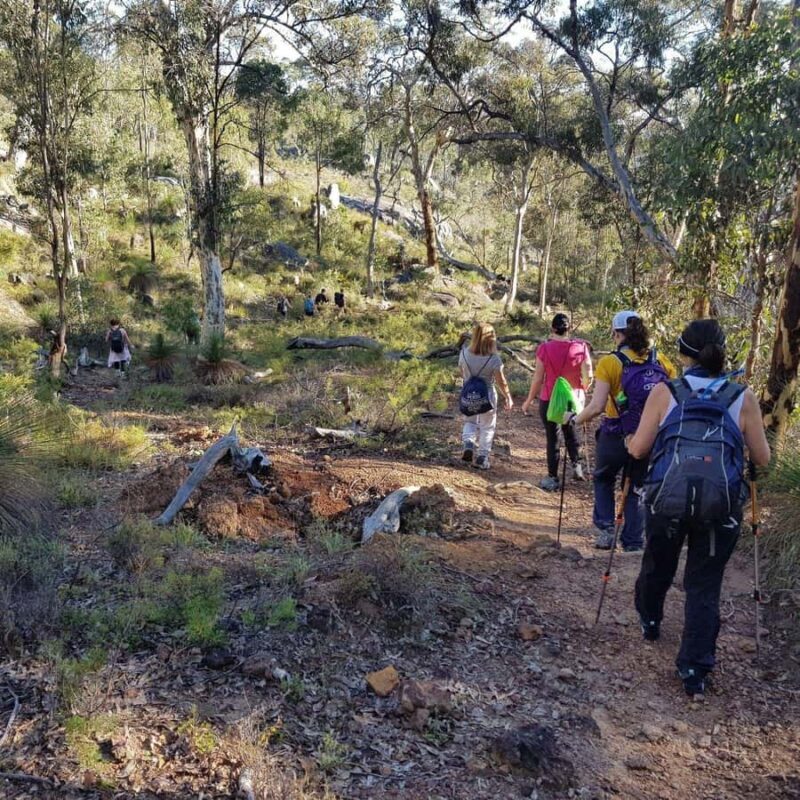 Perth: Piesse Brook Endurance Hike - What to Expect on the Piesse Brook Endurance Hike