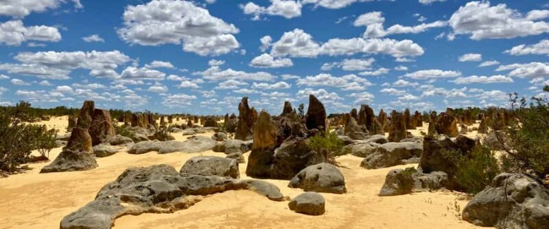 Perth: Pinnacles Desert Bush Walk Guided Tour with Lunch - A Complete Look at the Pinnacles Desert Bush Walk Guided Tour